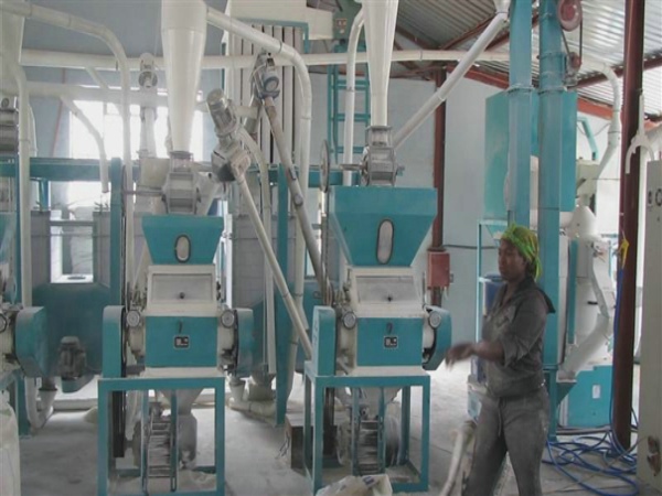 日產(chǎn)50噸玉米加工設(shè)備黑龍江客戶安裝調(diào)試試機現(xiàn)場（圖）